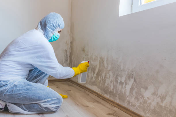 Mold Removal Process in Lincoln, NE