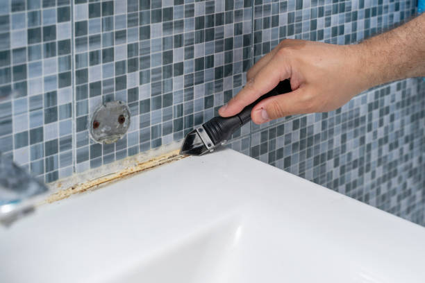 Best Mold Testing  in Lincoln, NE