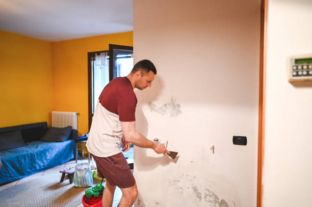 Best Attic Mold Removal  in Lincoln, NE