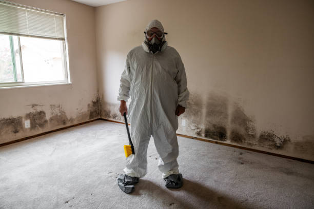 Mold Removal Process in Lincoln, NE